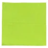 Bayetilla de Microfibra Premium Verde